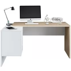 Secretary with OFFICE Pack - Office Desk