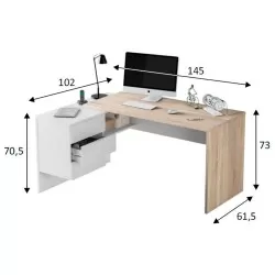 Secretary with OFFICE Pack - Office Desk