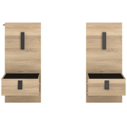 Conjunto de 2 mesas de cabeceira KIERAN - Carvalho e Preto