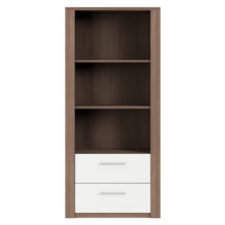 Element of Gavetas and PARIS Shelves - Living Room