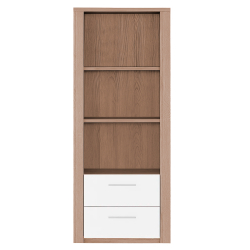 Element of Gavetas and PARIS Shelves - Living Room