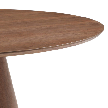 Mesa redonda ANATA - Nogueira