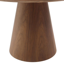 Mesa redonda ANATA - Nogueira