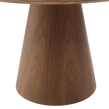 Mesa redonda ANATA - Nogueira