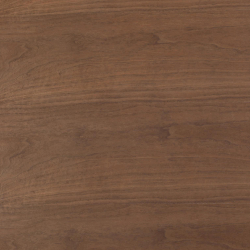 Mesa redonda ANATA - Nogueira