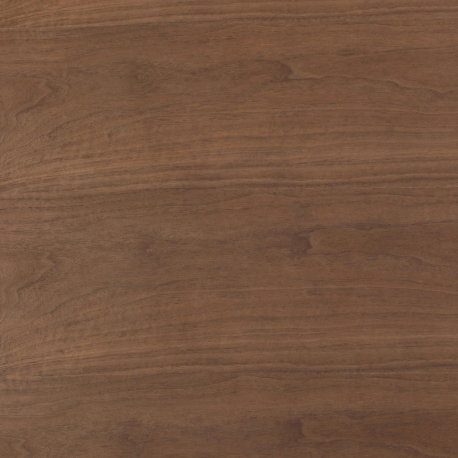 Mesa redonda ANATA - Nogueira