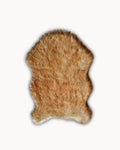 Alfombra FOX