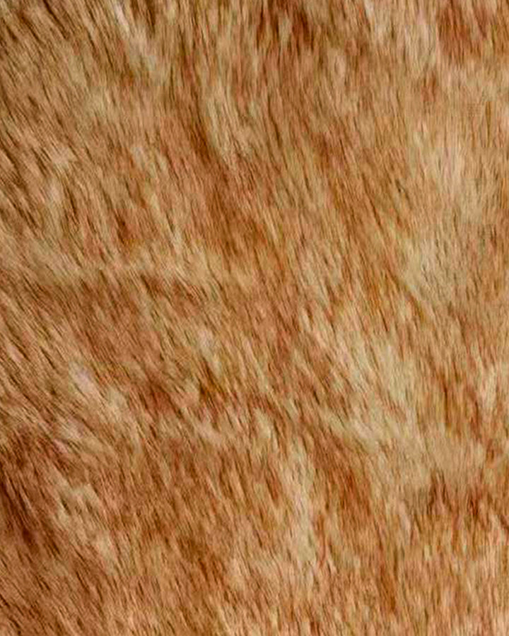 Alfombra FOX