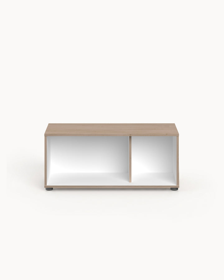 THEBES compact TV unit
