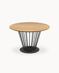 ALESIA Round table