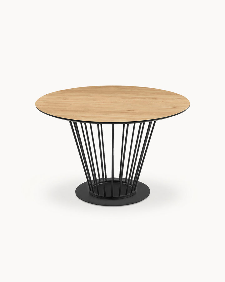ALESIA Round table