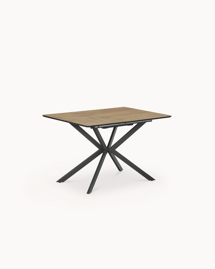 Extendable dining table ALEC (120-160cm)