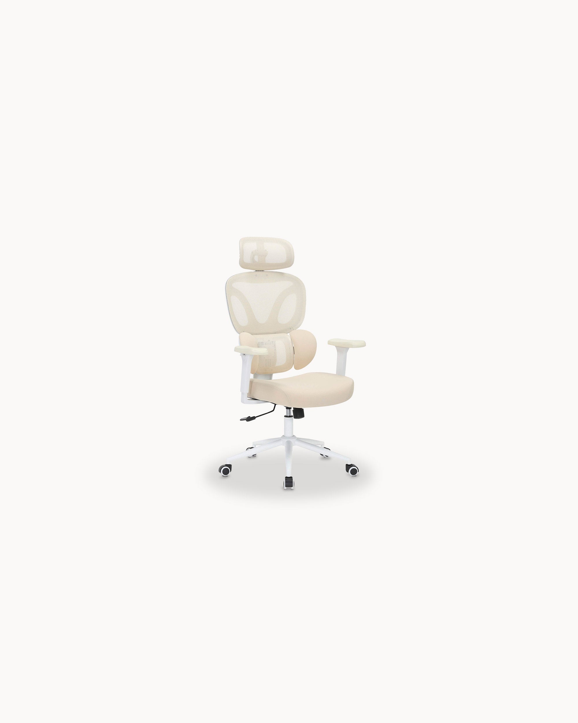 DAILLY Reclining Office Chair with Adjustable Armrests