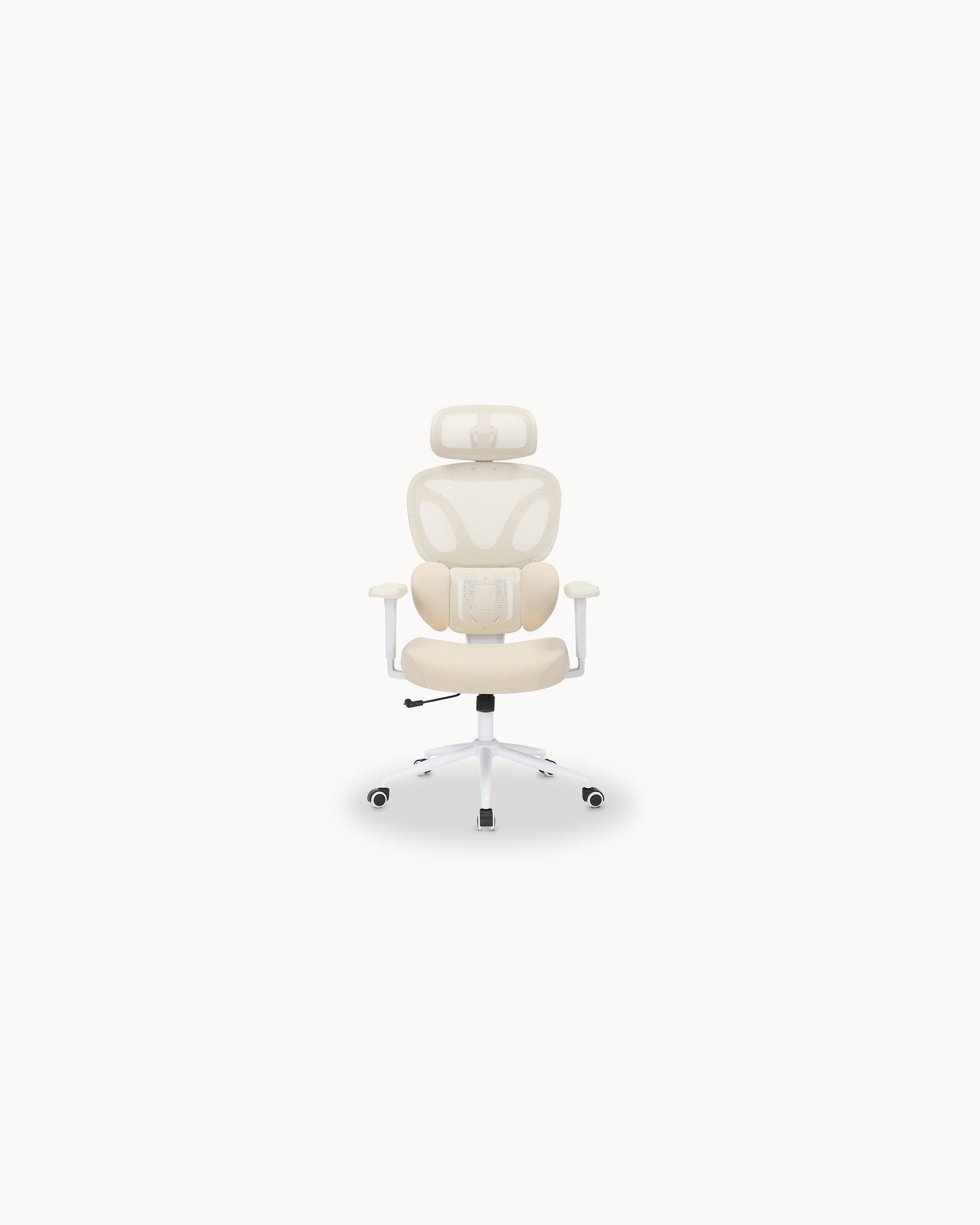 DAILLY Reclining Office Chair with Adjustable Armrests