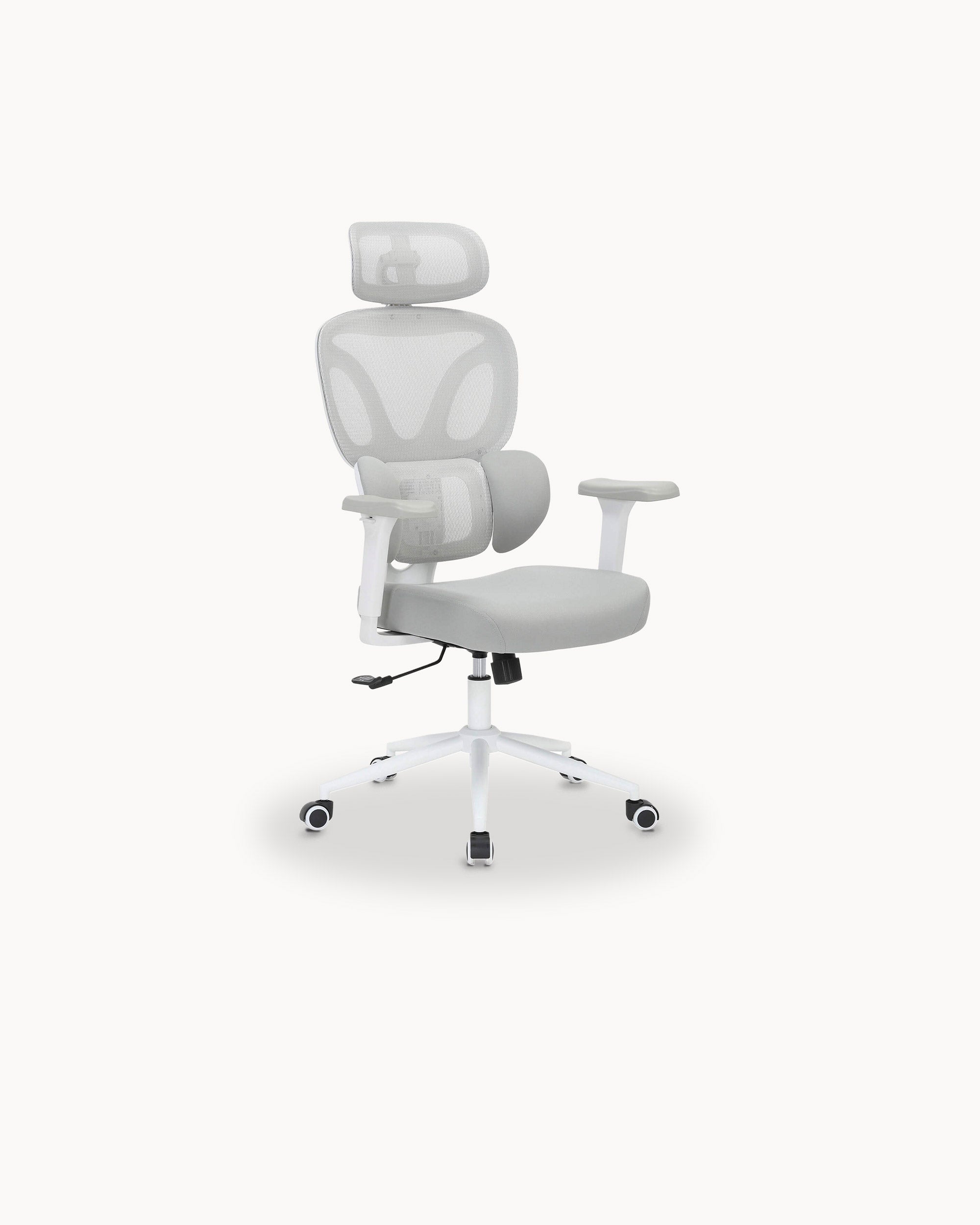 DAILLY Reclining Office Chair with Adjustable Armrests