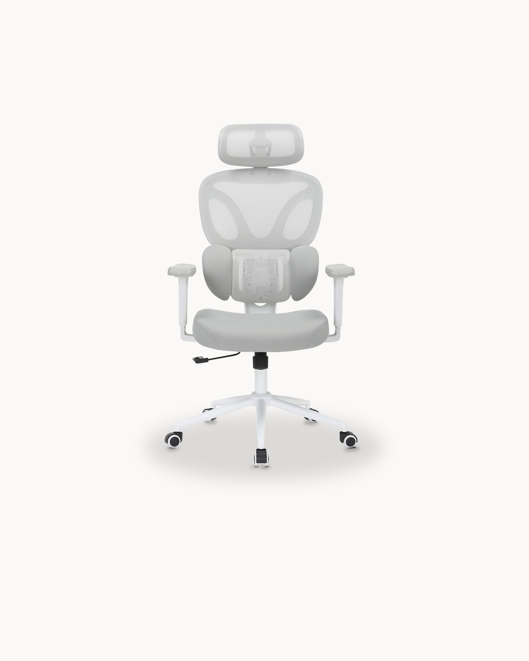 DAILLY Reclining Office Chair with Adjustable Armrests