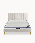 Pack cama de casal CORAL + colchão SPRING ROLLER