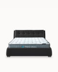 ANTONIO Double Bed Pack + HOMYSLEEP PALACIO COOLER Mattress