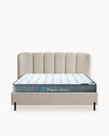 ATLANTA double bed pack + HOMYSLEEP PALACIO COOLER Mattress